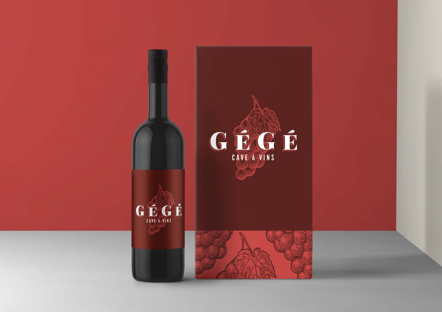 Projet Gégé